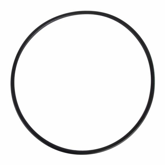 012-007-D-016 - O-ring para válvula del filtro de plástico PANDA de 16", 19" y 24