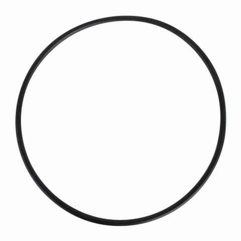 012-007-D-016 - O-ring para válvula del filtro de plástico PANDA de 16", 19" y 24