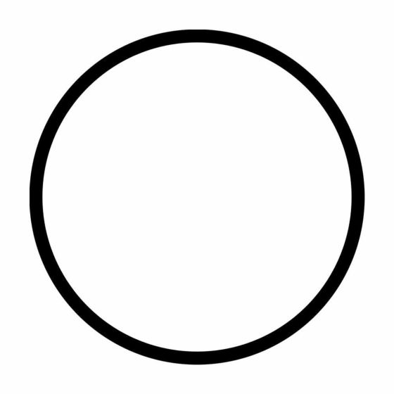 E204888 - Junta tórica para la tapa de prefiltro de las bombas SILEN2 200, 300, SILENPLUS 2M
