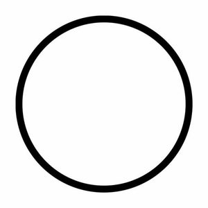E204888 - Junta tórica para la tapa de prefiltro de las bombas SILEN2 200, 300, SILENPLUS 2M
