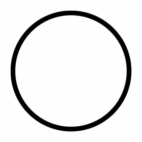 E204888 - Junta tórica para la tapa de prefiltro de las bombas SILEN2 200, 300, SILENPLUS 2M