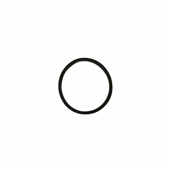 R-PK911 - O-ring de goma para puerto lateral para portamembrana PK-PM80S300