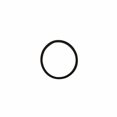 R-PK911 - O-ring de goma para puerto lateral para portamembrana PK-PM80S300