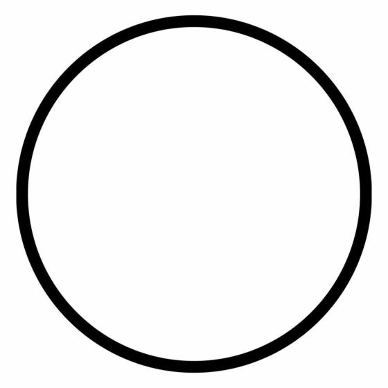 R-PKORINGPFB - Junta téorica para portafiltro de color blanco de 2.5" de diámetro de los ÓSMOSIS INVERSA