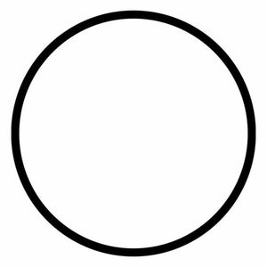 R-PKORINGPFB - Junta téorica para portafiltro de color blanco de 2.5" de diámetro de los ÓSMOSIS INVERSA