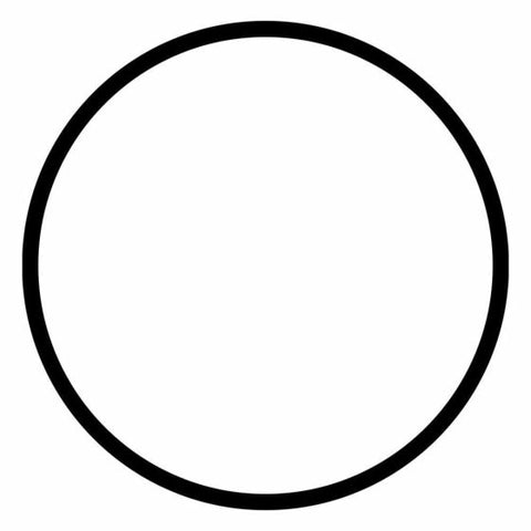 R-PKORINGPFB - Junta téorica para portafiltro de color blanco de 2.5" de diámetro de los ÓSMOSIS INVERSA