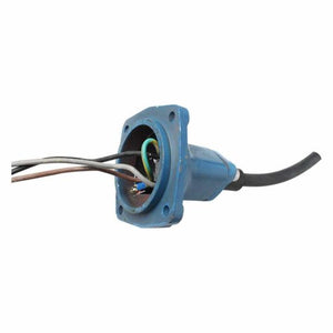 R-ROB4/100-CON - Conector con cable de 10m para las bombas ROBUSTA4/100